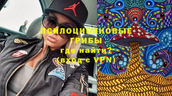 кокс Аркадак