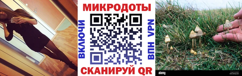 Псилоцибиновые грибы Psilocybine cubensis  как найти закладки  Пыть-Ях 